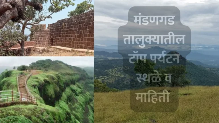 mandangad taluka